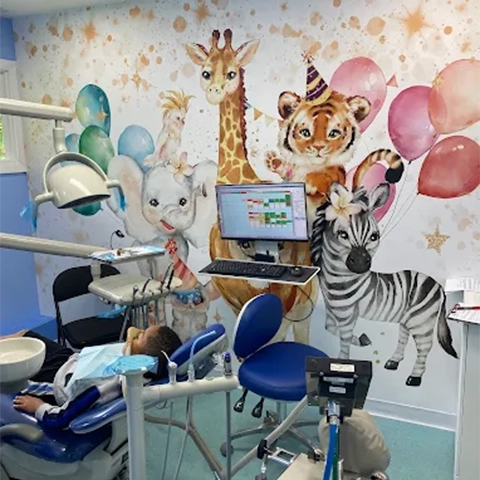 Animal Room At The Children's Dental Group