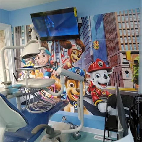 Paw Patrol Room At The Children's Dental Group